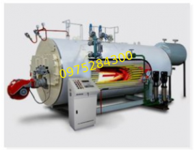 Nồi Hơi Hơi Đốt Dầu WNS 